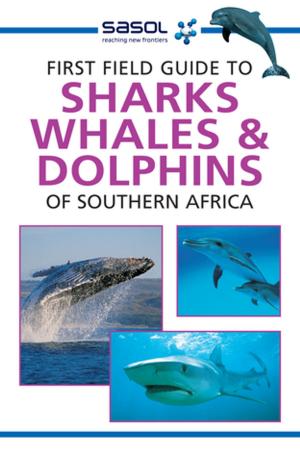 Cover of the book First Field Guide to Sharks, Whales and Dolphins of Southern Africa by Luke Hunter