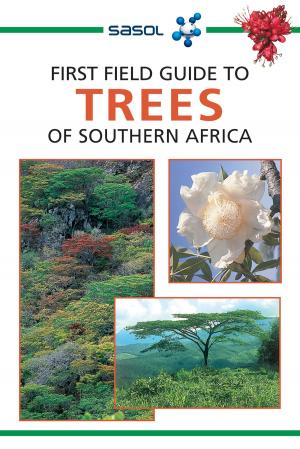 Cover of the book First Field Guide to Trees of Southern Africa by Sean Fraser