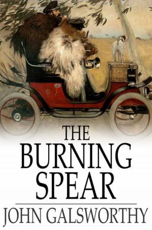 Cover of the book The Burning Spear by Bret Harte