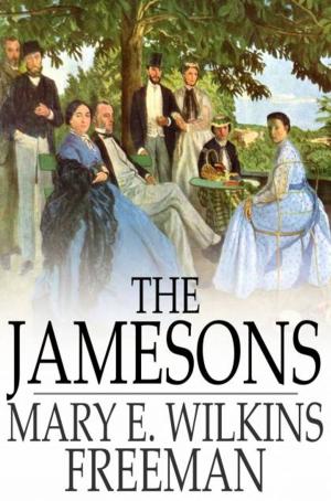 Cover of the book The Jamesons by Sir John Barrow
