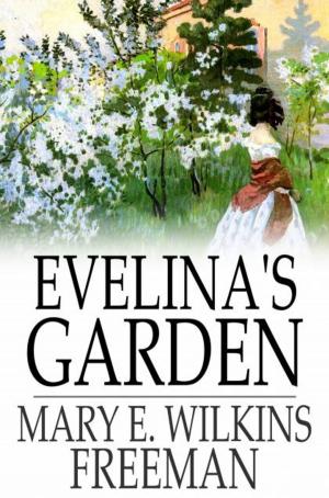 Book cover of Evelina's Garden