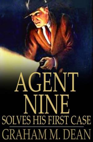 Book cover of Agent Nine Solves His First Case