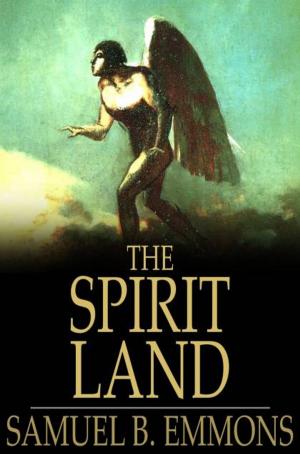 Cover of the book The Spirit Land by Roy J. Snell