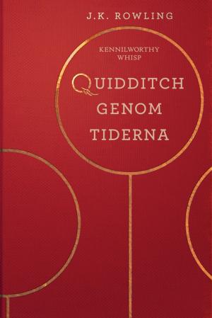 Book cover of Quidditch genom tiderna
