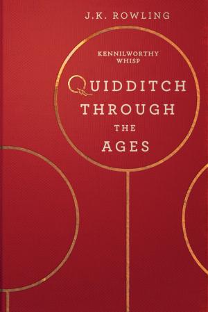 Book cover of Quidditch Through the Ages