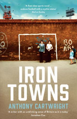 Cover of the book Iron Towns by Holger Hoock