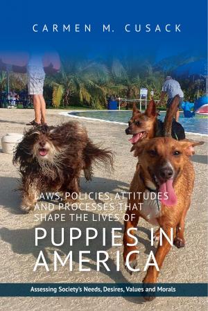 Cover of the book Laws, Policies, Attitudes and Processes that Shape the Lives of Puppies in America by Robert K. Britton