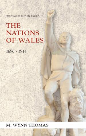 Cover of the book The Nations of Wales by Sue Bruley