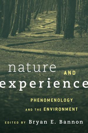 Cover of the book Nature and Experience by Iain Chambers