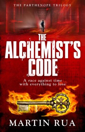 Cover of the book The Alchemist's Code by Anita Davison