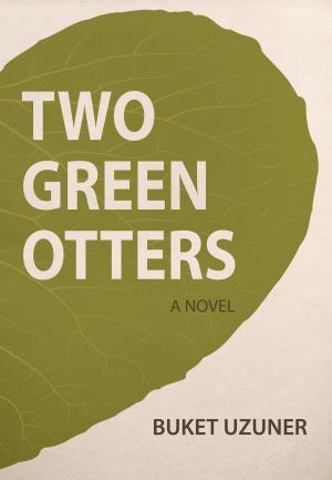 Book cover of Two Green Otters