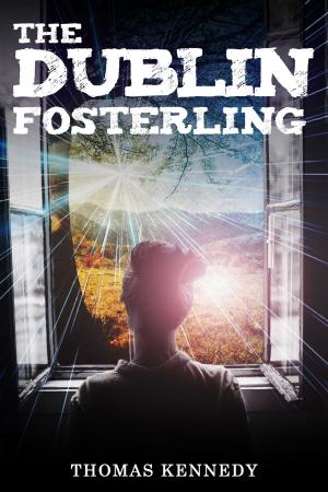 Cover of the book The Dublin Fosterling by Jack Goldstein