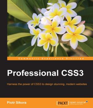 Cover of the book Professional CSS3 by Ken Finnigan
