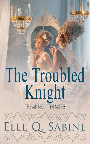 Cover of the book The Troubled Knight by Megan Linden