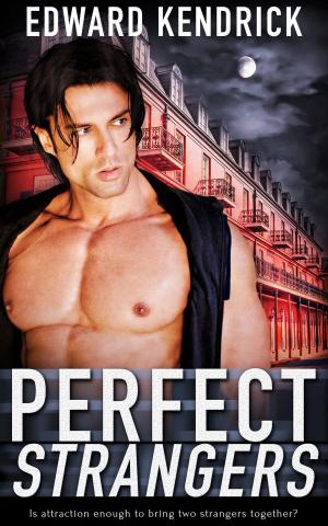 Cover of the book Perfect Strangers by Bellora Quinn, Sadie Rose  Bermingham