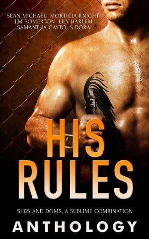 Cover of the book His Rules by Carol Lynne