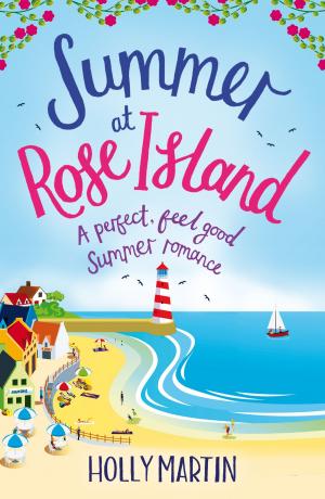 Cover of the book Summer at Rose Island by Laura Elliot