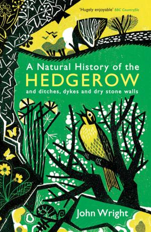 Cover of the book A Natural History of the Hedgerow by David Olusoga