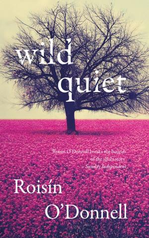 Cover of the book Wild Quiet by Jasmine Devereux