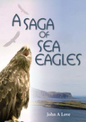Cover of the book A Saga of Sea Eagles by David Creamer