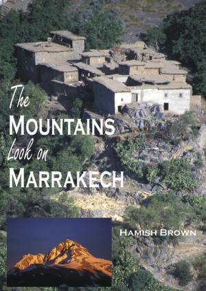 Book cover of The Mountains Look on Marrakech