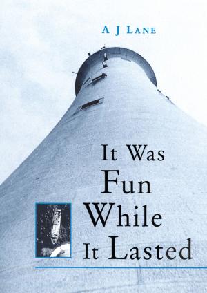 Cover of the book It Was Fun While it Lasted by Captain Tom Woodfield
