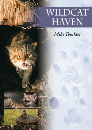 Cover of the book Wildcat Haven by John Miles