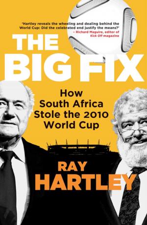 Cover of the book The Big Fix by Tracy Todd