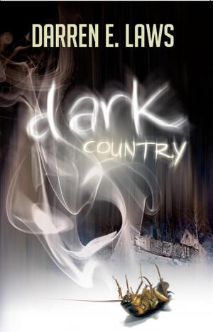 Cover of the book Dark Country by RC Bridgestock