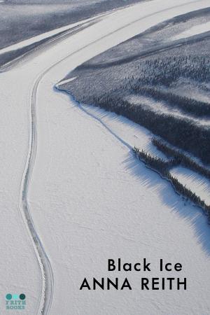 Cover of the book Black Ice by Shawn D. Brink