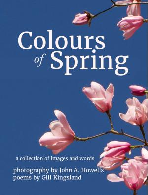Book cover of Colours of Spring