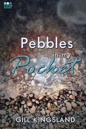 Cover of the book Pebbles in my Pocket by Rik Roots