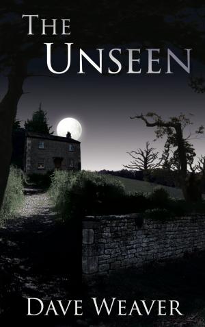 Cover of the book The Unseen by Geoffrey Carr