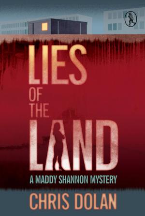 bigCover of the book Lies of the Land by 