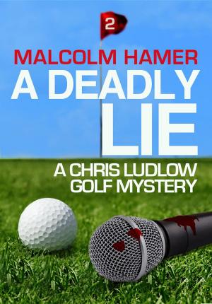 Cover of A Deadly Lie