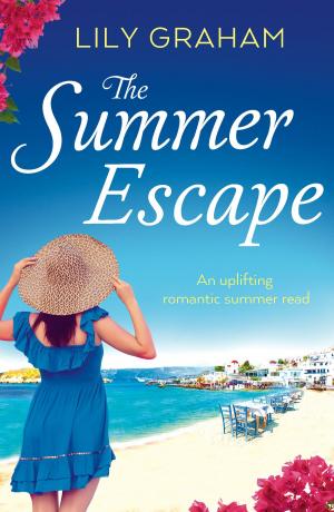 bigCover of the book The Summer Escape by 