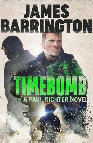 Cover of the book Timebomb by M J Lee