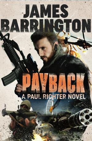 Cover of the book Payback by J.C. Quinn