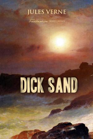 Cover of the book Dick Sand by M. James
