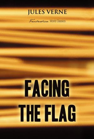 Cover of the book Facing the Flag by Ambrose Bierce