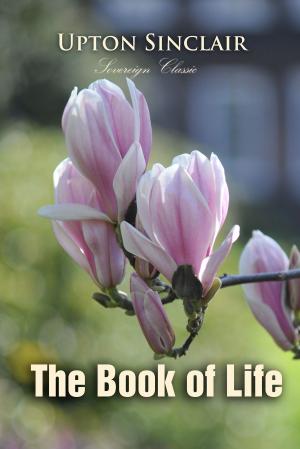 Cover of the book The Book of Life by Benjamin Disraeli