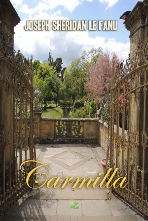 Cover of the book Carmilla by Xiaobin Xu