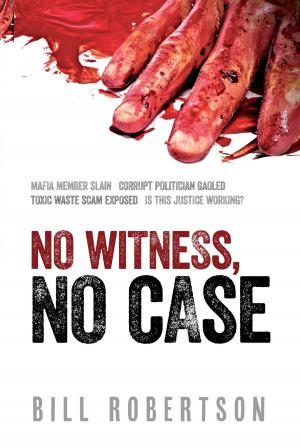 Cover of the book No Witness, No Case by Beeb Birtles