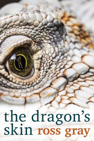bigCover of the book The Dragon's Skin by 