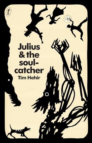 Cover of the book Julius and the Soulcatcher by Amy Witting