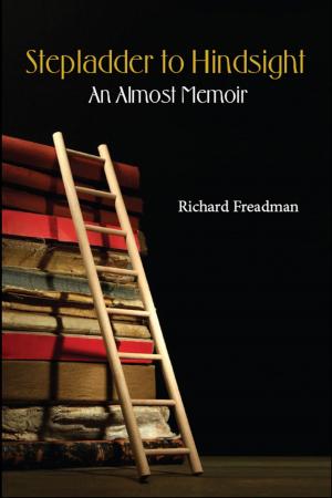 Cover of the book Stepladder to Hindsight by Janice Simpson