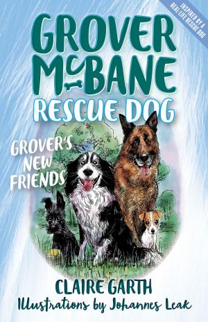Book cover of Grover's New Friends