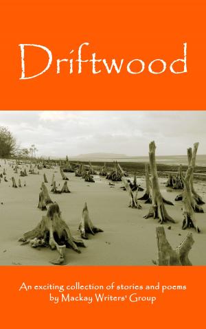 Cover of Driftwood: An anthology of works by members of the Mackay-Pioneer Valley Arts Council Writers Group (Mackay Writers)