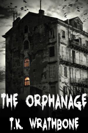 bigCover of the book The Orphanage by 