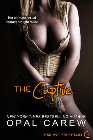 Cover of the book The Captive by K.C. Hawke